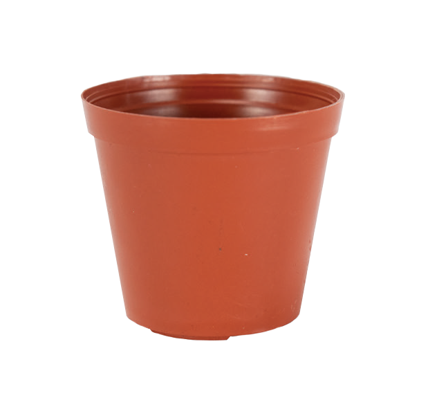 60mm Mini Pot Terra Cotta - 1620 per case