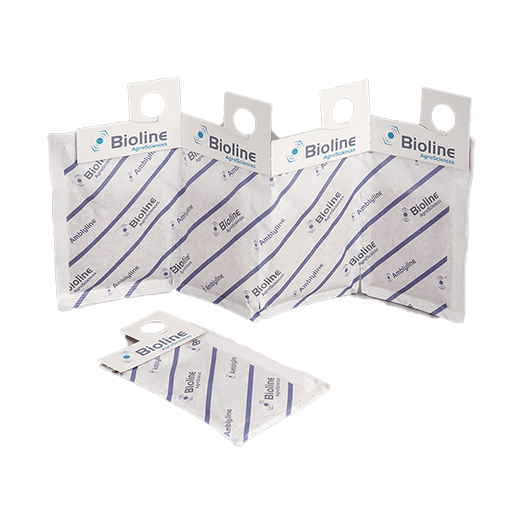 Amblyline cu CRS - 200 sachets per case