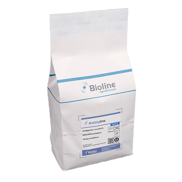 Amblyline 250,000 / 5 liter Bag