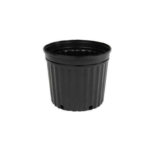 Elite 1600 Nursery Pot Black - 50 per sleeve