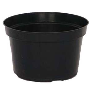 8 x 5 Mum Pan Thinwall Black - 150 per case