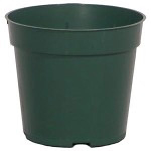 3.50 Standard Thinwall TL Green - 1225 per case