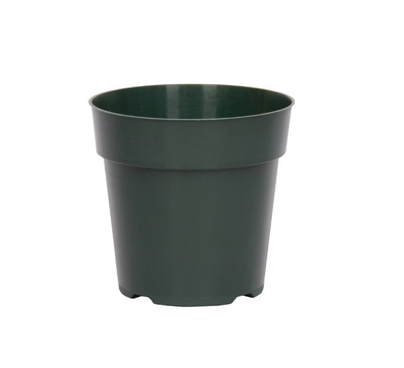 6.00 Standard Thinwall Green - 440 per case