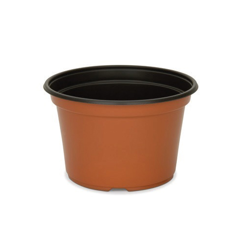 8.00 x 5.00 Mum Pan Coex Terra Cotta/Black - 170 per case