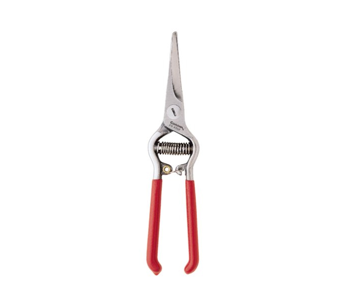 Corona Thinning Shear - 6 per case