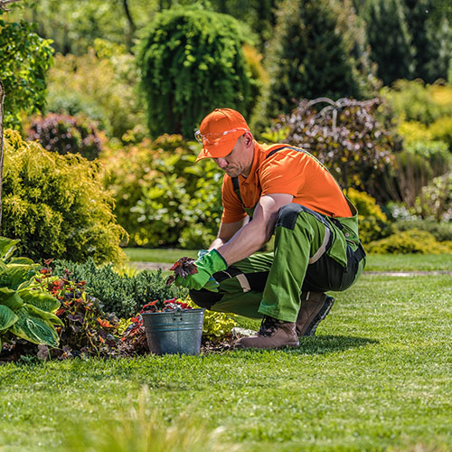 Landscaper